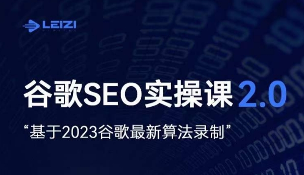 雷子·谷歌SEO 2.0实战课，独立站询盘自由必备，基于2023谷歌最新算法录制-赚金金-技能学习分享