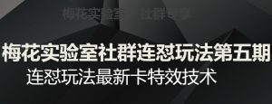 梅花实验室社群连怼玩法第五期,视频号连怼玩法最新卡特效技术-赚金金-技能学习分享