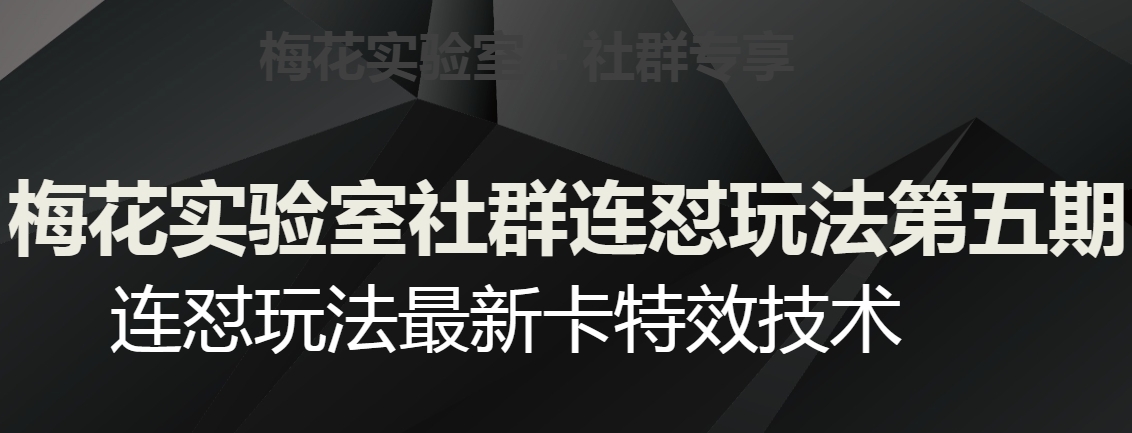 梅花实验室社群连怼玩法第五期，视频号连怼玩法最新卡特效技术-赚金金-技能学习分享
