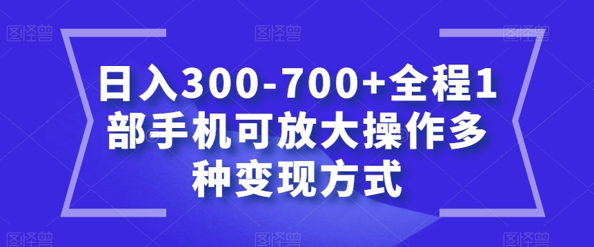 日入300-700+全程1部手机可放大操作多种变现方式【揭秘】-赚金金-技能学习分享