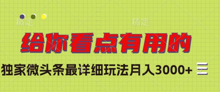 独家微头条最详细玩法，月入3000+【揭秘】-赚金金-技能学习分享