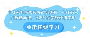 小红书开店卖货实战训练营,小红书入门到精通课,7天时间实现快速变现-赚金金-技能学习分享