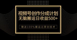 最新视频号创作分成计划,无脑搬运一天收益500+,100%搬运过原创技巧【揭秘】-赚金金-技能学习分享