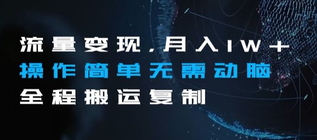 流量变现,月入1W+操作简单无需动脑全程搬运复制【揭秘】-赚金金-技能学习分享