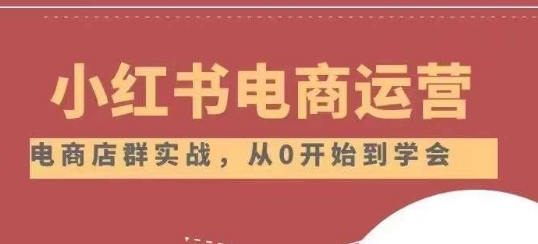 小红书店铺运营从小白到大神2.0，从入门到精通-赚金金-技能学习分享