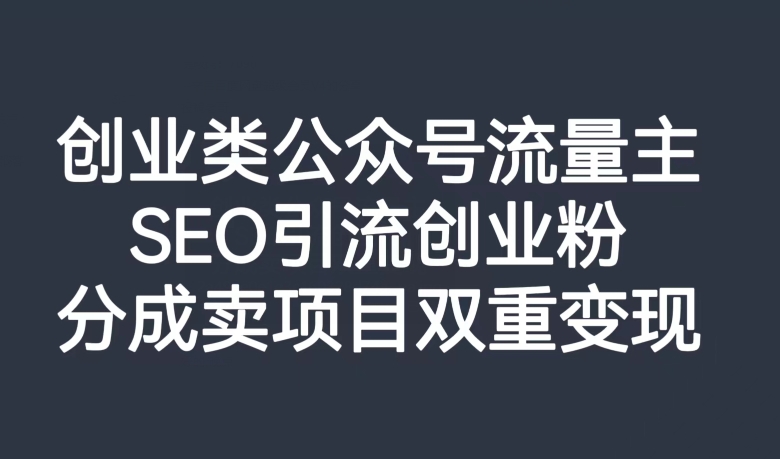 创业类公众号流量主，SEO引流创业粉，分成卖项目双重变现【揭秘】-赚金金-技能学习分享
