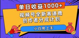 单日收益1000+,视频号全新赛道撸创作者分成计划,小白易上手【揭秘】-赚金金-技能学习分享