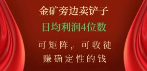 金矿旁边卖铲子,赚确定性的钱,可矩阵,可收徒,日均利润4位数【揭秘】-赚金金-技能学习分享
