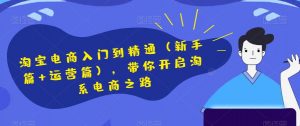 淘宝电商入门到精通(新手篇+运营篇),带你开启淘系电商之路-赚金金-技能学习分享