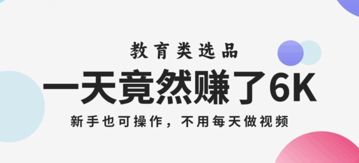 一天竟然赚了6000多，教育类选品，新手也可操作，更不用每天做短视频【揭秘】-赚金金-技能学习分享