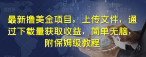 最新撸美金项目,上传文件,通过下载量获取收益,简单无脑,附保姆级教程【揭秘】-赚金金-技能学习分享
