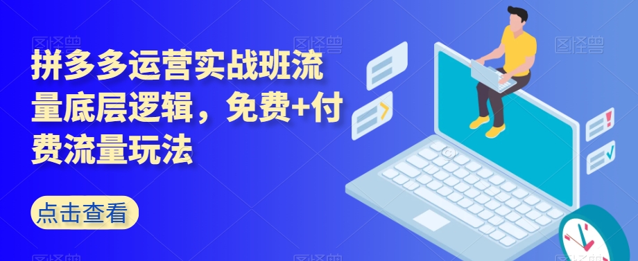 拼多多运营实战班流量底层逻辑，免费+付费流量玩法-赚金金-技能学习分享