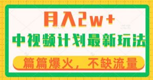 中视频计划全新玩法,月入2w+,收益稳定,几分钟一个作品,小白也可入局【揭秘】-赚金金-技能学习分享