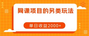 网课项目的另类玩法，单日收益2000+【揭秘】-赚金金-技能学习分享