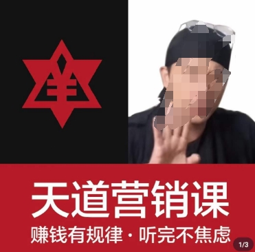 天道老阮-天道营销课,赚钱有规律,听完不焦虑-赚金金-技能学习分享