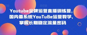 Youtube金牌运营直播训练营,国内最系统YouTuBe运营教学,掌握长期稳定流量密码-赚金金-技能学习分享