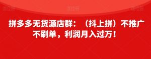 拼多多无货源店群:(抖上拼)不推广不刷单,利润月入过万!【揭秘】-赚金金-技能学习分享