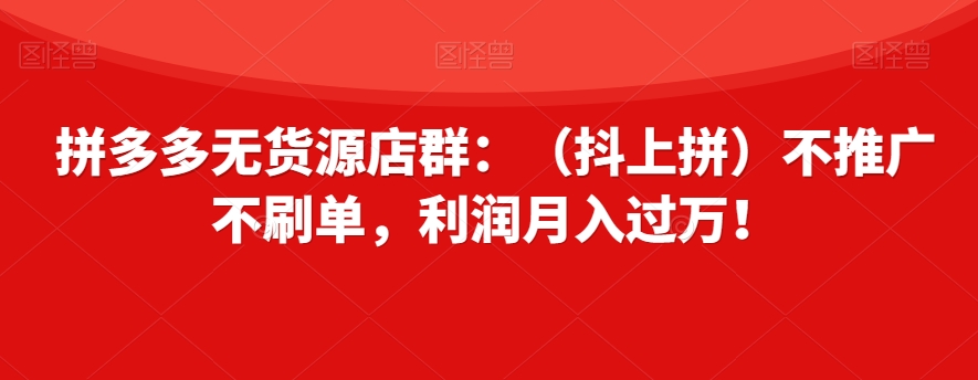 拼多多无货源店群：（抖上拼）不推广不刷单，利润月入过万！【揭秘】-赚金金-技能学习分享