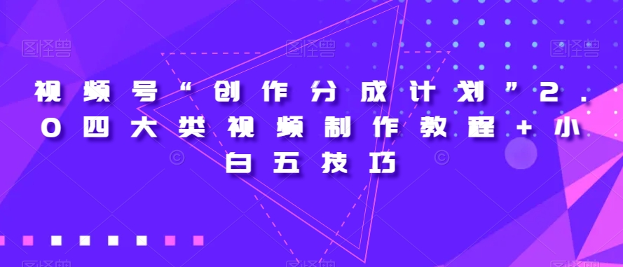 视频号“创作分成计划”2.0四大类视频制作教程+小白五技巧【揭秘】-赚金金-技能学习分享