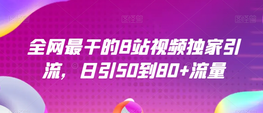 全网最干的B站视频独家引流，日引50到80+流量【揭秘】-赚金金-技能学习分享