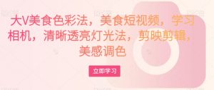 大V美食色彩法,美食短视频,学习相机,清晰透亮灯光法,剪映剪辑,美感调色-赚金金-技能学习分享