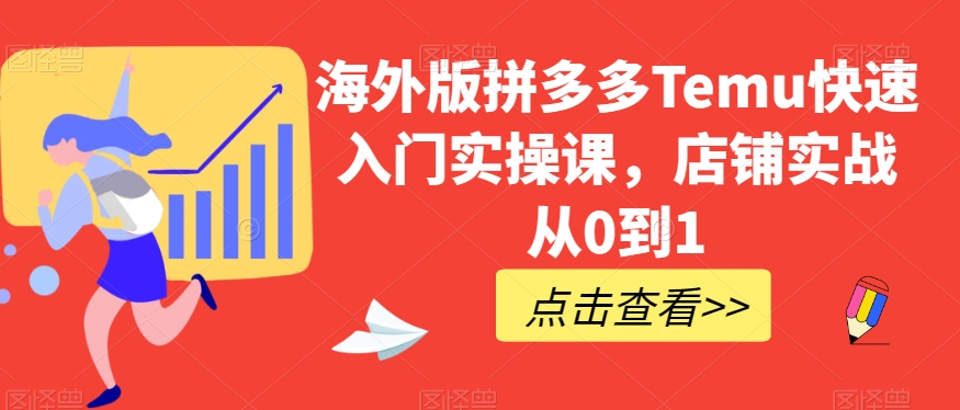 海外版拼多多Temu快速入门实操课，店铺实战从0到1-赚金金-技能学习分享