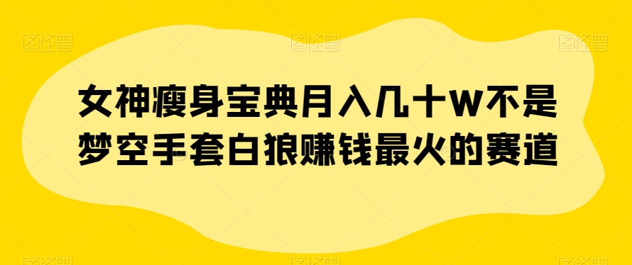 女神瘦身宝典月入几十W不是梦空手套白狼赚钱最火的赛道【揭秘】-赚金金-技能学习分享