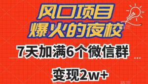 全网首发,爆火的夜校,7天加满6个微信群,变现2w+【揭秘】-赚金金-技能学习分享