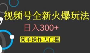 视频号最新爆火玩法,日入300+,简单操作无门槛【揭秘】-赚金金-技能学习分享