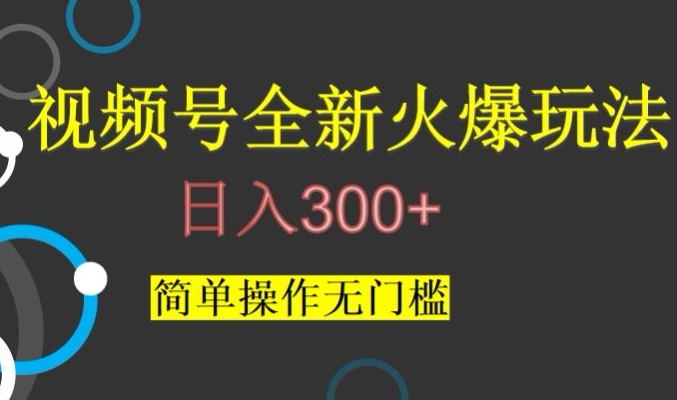 视频号最新爆火玩法，日入300+，简单操作无门槛【揭秘】-赚金金-技能学习分享