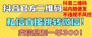 价值3000的技术!抖音二维码直跳微信!站内无限发不违规!-赚金金-技能学习分享