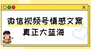 视频号情感文案,真正大蓝海,简单操作,新手小白轻松上手(教程+素材)【揭秘】-赚金金-技能学习分享