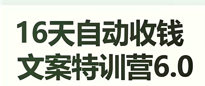 16天自动收钱文案特训营6.0，学会儿每天自动咔咔收钱-赚金金-技能学习分享