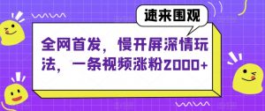 全网首发，慢开屏深情玩法，一条视频涨粉2000+【揭秘】-赚金金-技能学习分享