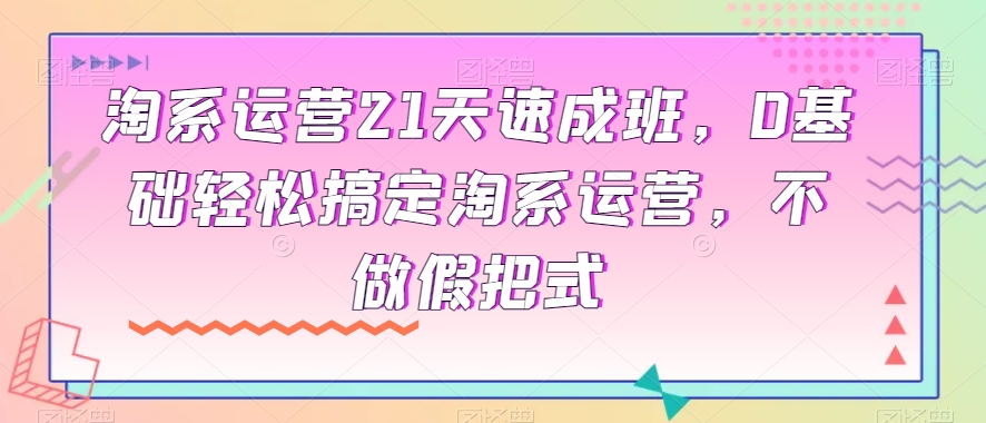 淘系运营21天速成班，0基础轻松搞定淘系运营，不做假把式-赚金金-技能学习分享
