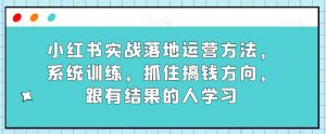 小红书实战落地运营方法，系统训练，抓住搞钱方向，跟有结果的人学习-赚金金-技能学习分享