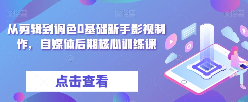 从剪辑到调色0基础新手影视制作，自媒体后期核心训练课-赚金金-技能学习分享