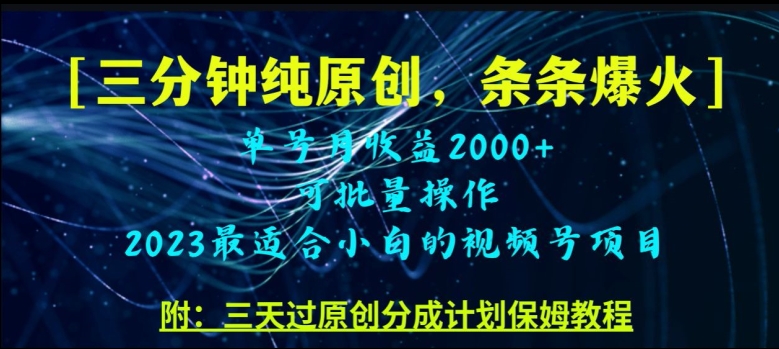 三分钟制作视频号纯原创，条条爆款，轻松月入过万【揭秘】-赚金金-技能学习分享