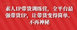 素人IP带货训练营,全平台最强带货IP,让带货变得简单、不再神秘-赚金金-技能学习分享