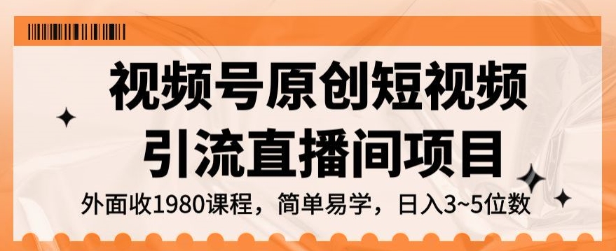 视频号原创短视频引流直播间项目，日入3~5五位数【揭秘】-赚金金-技能学习分享