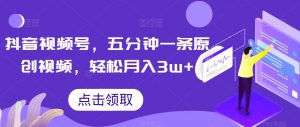 抖音视频号，五分钟一条原创视频，轻松月入3w+【独家秘诀，传授赚钱方法】【揭秘】-赚金金-技能学习分享