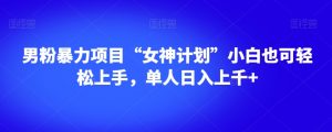 男粉暴力项目“女神计划”小白也可轻松上手，单人日入上千+【揭秘】-赚金金-技能学习分享