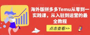 海外版拼多多Temu从零到一实践课，从入驻到运营的最全教程-赚金金-技能学习分享