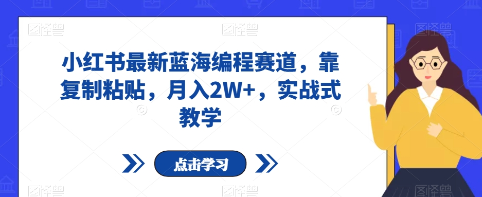 小红书最新蓝海编程赛道，靠复制粘贴，月入2W+，实战式教学【揭秘】-赚金金-技能学习分享