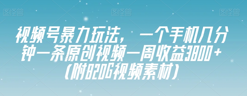 视频号暴力玩法，一个手机几分钟一条原创视频一周收益3800+（附820G视频素材）-赚金金-技能学习分享