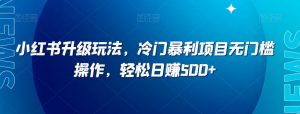 小淘项目专属付款链接-赚金金-技能学习分享