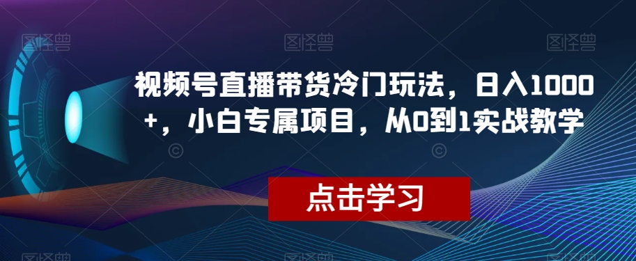 视频号直播带货冷门玩法，日入1000+，小白专属项目，从0到1实战教学【揭秘】-赚金金-技能学习分享