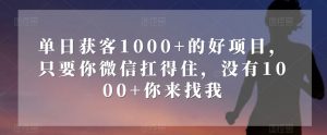 单日获客1000+的好项目,只要你微信扛得住,没有1000+你来找我【揭秘】-赚金金-技能学习分享