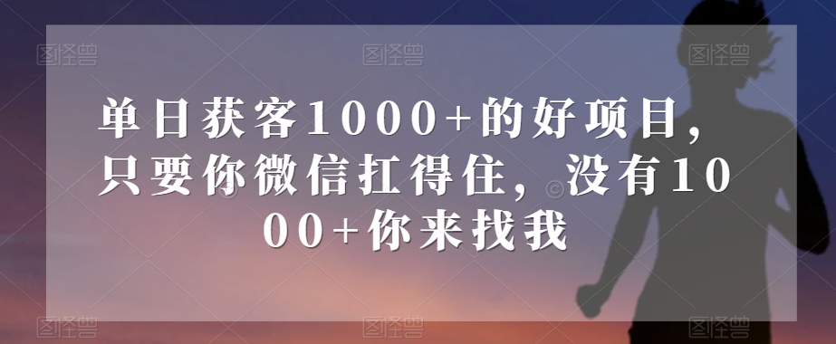 单日获客1000+的好项目，只要你微信扛得住，没有1000+你来找我【揭秘】-赚金金-技能学习分享