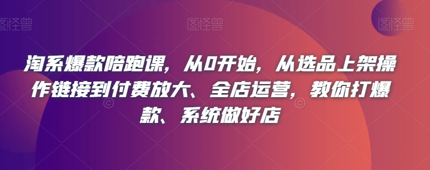 淘系爆款陪跑课，从0开始，从选品上架操作链接到付费放大、全店运营，教你打爆款、系统做好店-赚金金-技能学习分享